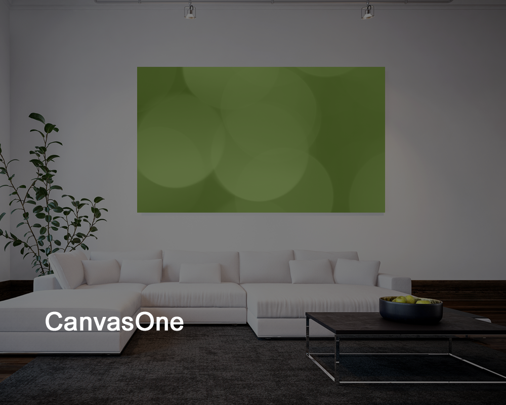 Canvas One website design