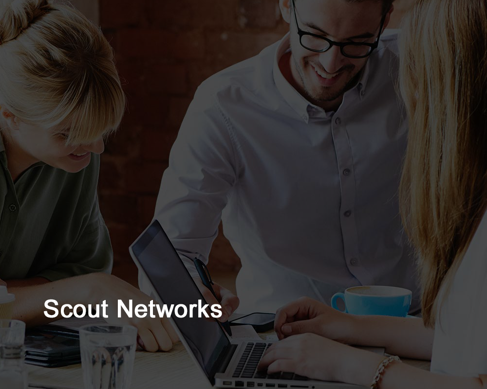 Scout Networks website design