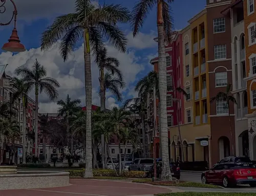 Local SEO Strategies to Help Your Business Rank Higher in Southwest Florida